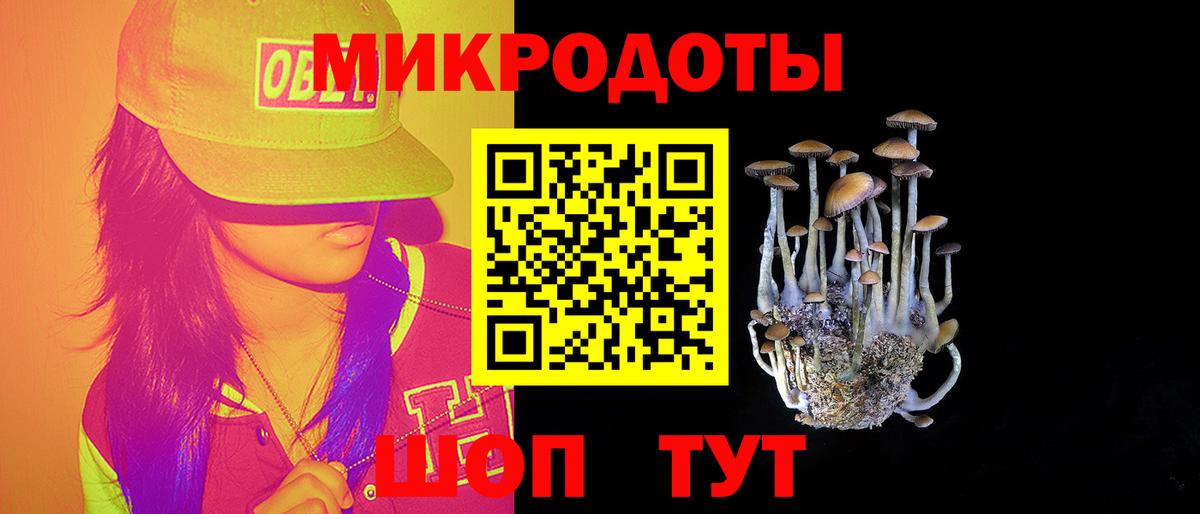 Галлюциногенные грибы GOLDEN TEACHER Каменка