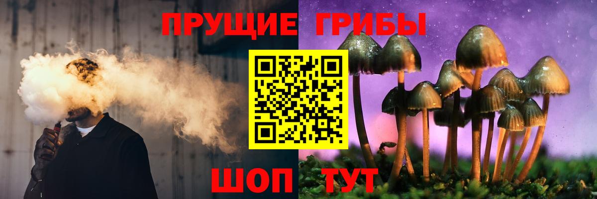 Псилоцибиновые грибы Каменка